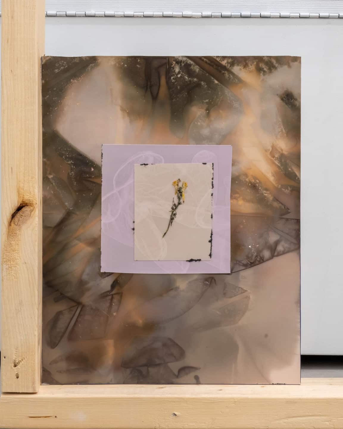 Solarity at NAMARA projects